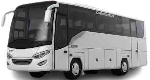 Medium Bus